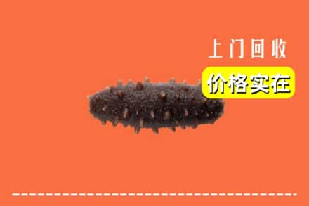 日喀则吉隆县回收海参